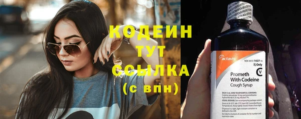 шишки Абаза
