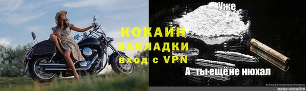 шишки Абаза