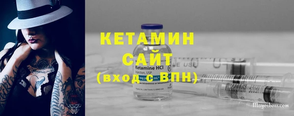 шишки Абаза
