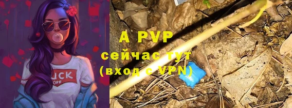 шишки Абаза