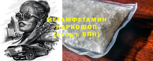 шишки Абаза