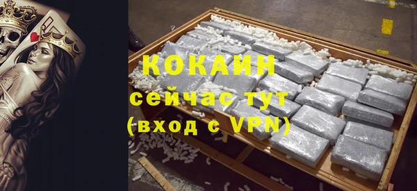 шишки Абаза