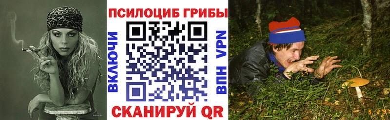 Псилоцибиновые грибы Cubensis  дарк нет наркотические препараты  Норильск 